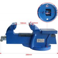 CCLIFE Feststehend Schraubstock 100/125/150 mm für Werkbank Werkbankschraubstock Parallelschraubstock, Modell:125mm