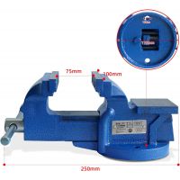 CCLIFE Feststehend Schraubstock 100/125/150 mm für Werkbank Werkbankschraubstock Parallelschraubstock, Modell:100mm