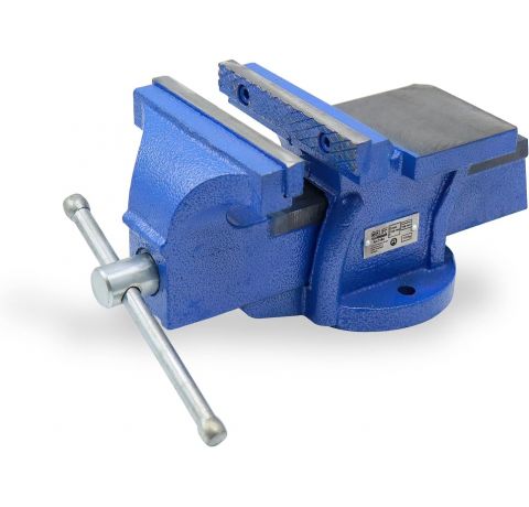 CCLIFE Feststehend Schraubstock 100/125/150 mm für Werkbank Werkbankschraubstock Parallelschraubstock, Modell:150mm